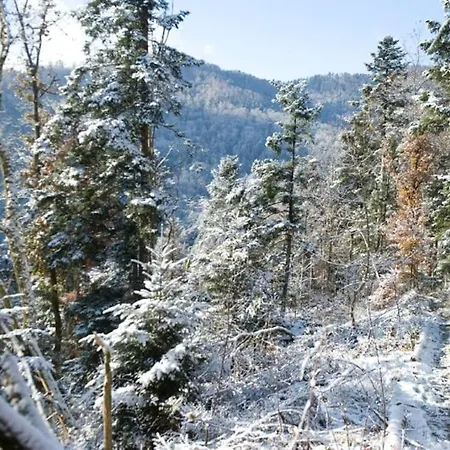 Gite Staufen Thann Exterior foto