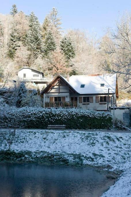 Staufen Holiday home *